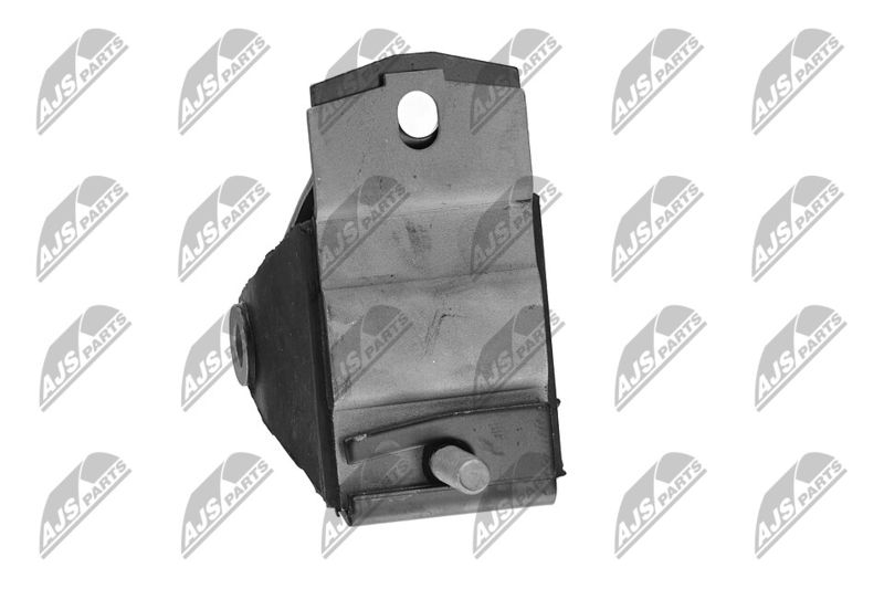 Paigutus, Mootor, NTY ZPS-CH-035