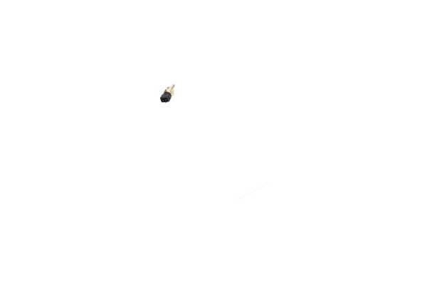Kavo Parts ECT-3002 Sensor, coolant temperature