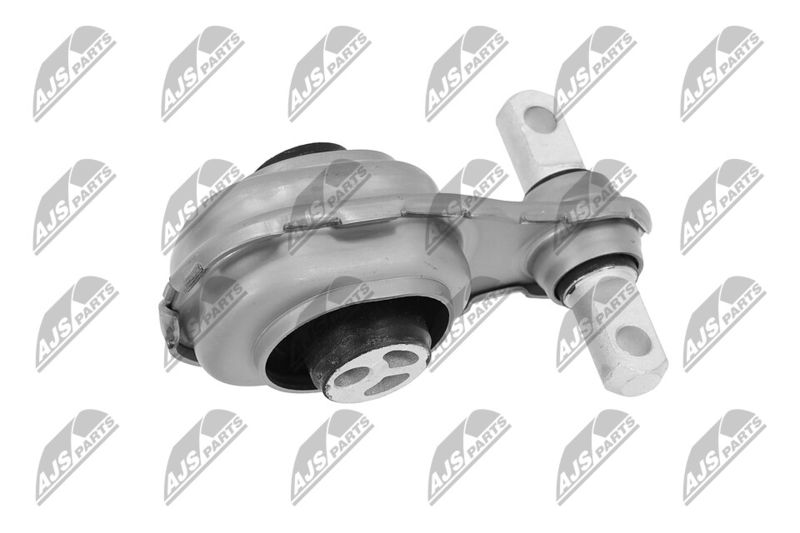 Paigutus, Mootor, NTY ZPS-ME-059