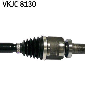 VKJC 8130_3.JPG