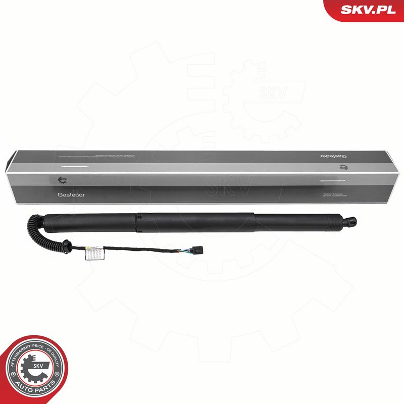 Elektrimootor, tagaluuk, ESEN SKV 52SKV199