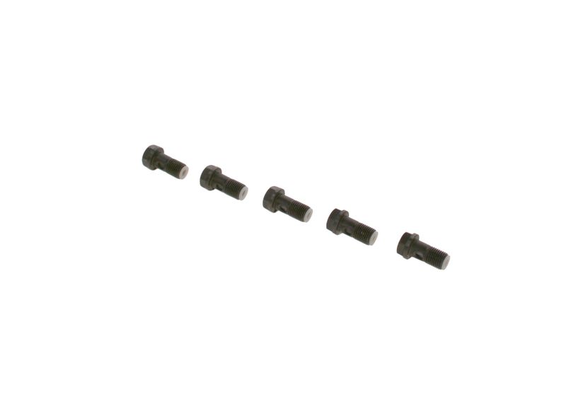 Surub F 019 D01 024 BOSCH