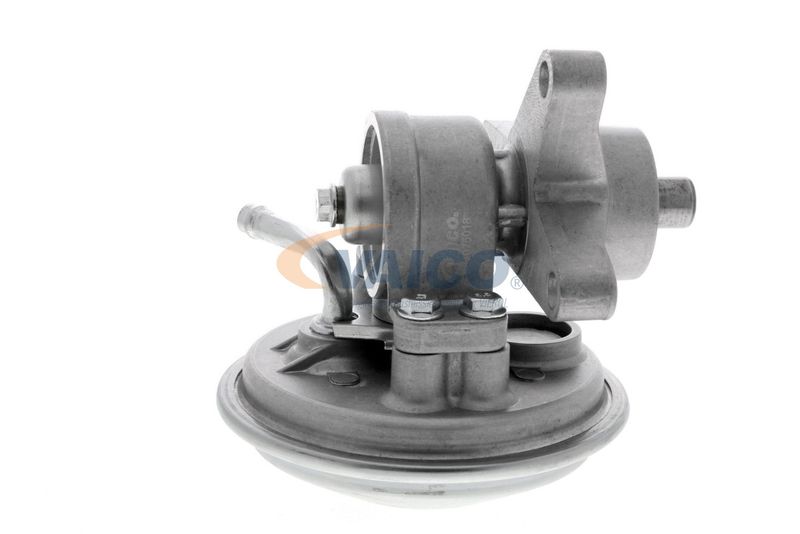 VAICO V25-1907 Mounting, engine
