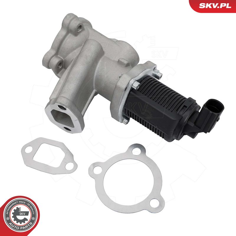 EGR-klapp, ESEN SKV 14SKV314