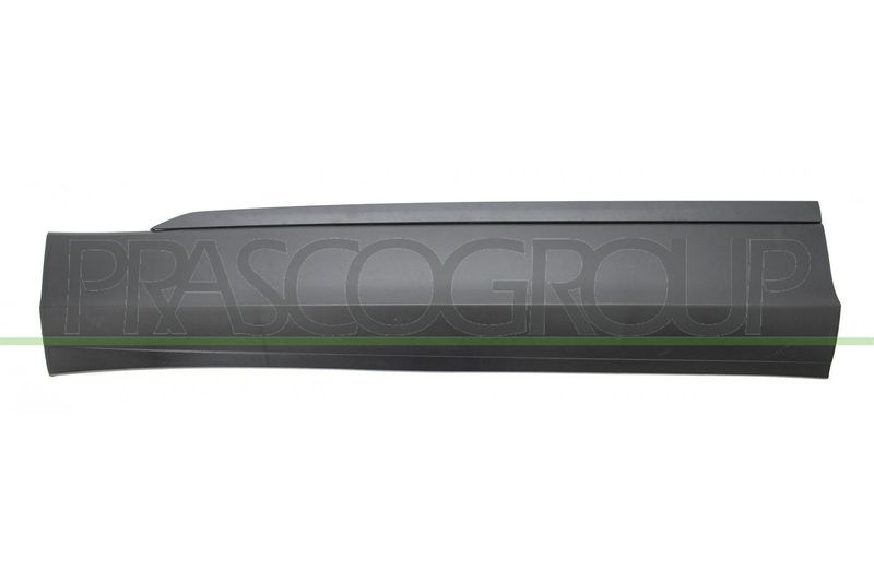 Elemente decorative/protectie, portiera PRASCO VG8101404
