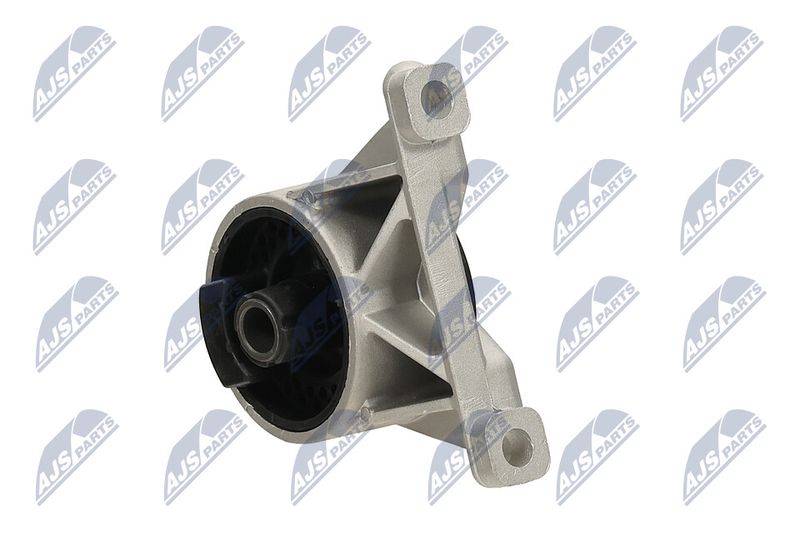 Paigutus, Mootor, NTY ZPS-PL-034