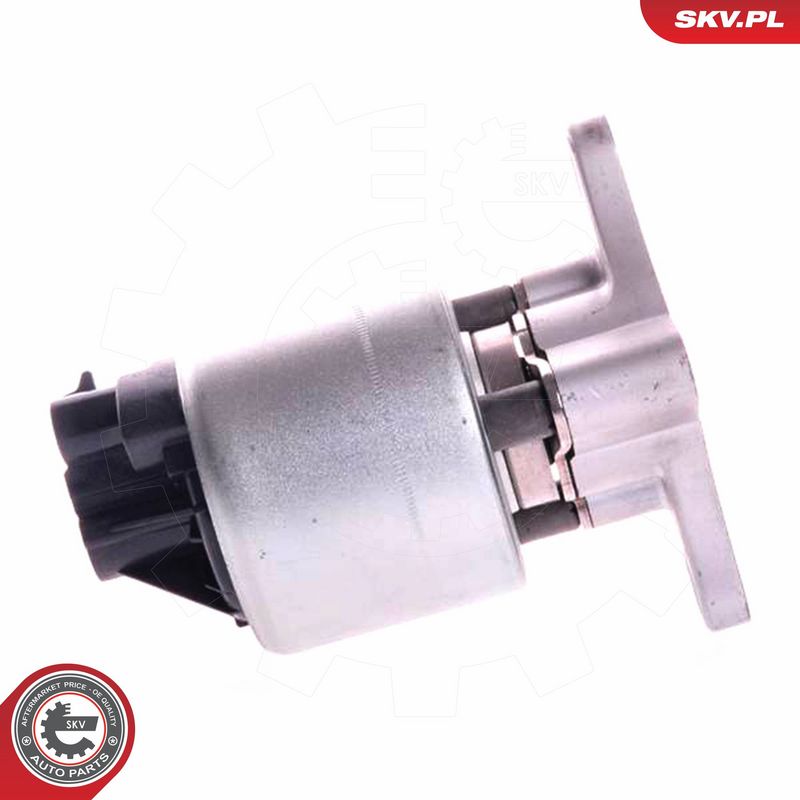 ESEN SKV 14SKV002 EGR vožtuvas