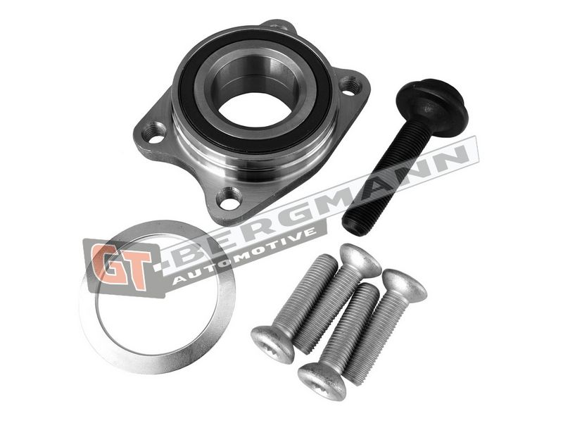 GT-BERGMANN Automotive Rato guolio komplektas