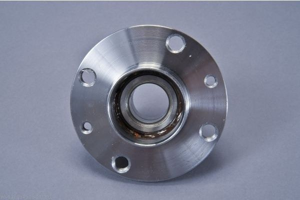 AUTOMEGA 110194910 Wheel Bearing Kit