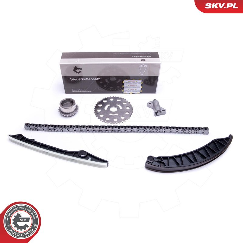 Mootori keti komplekt, ESEN SKV 21SKV173