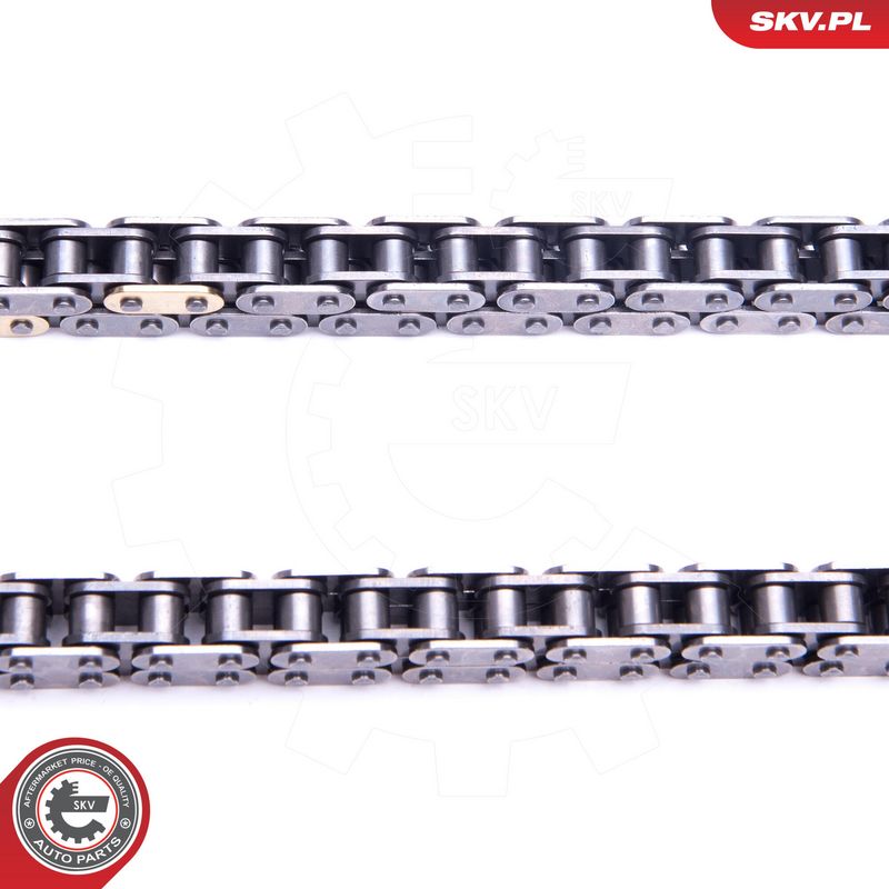 Mootori keti komplekt, ESEN SKV 21SKV241