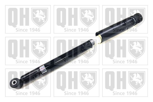 QH_QAG181124.JPG