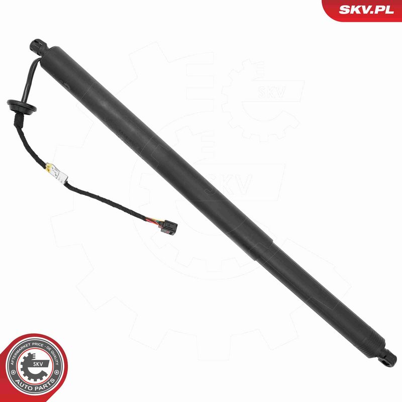 ESEN SKV 52SKV292 Electric Motor, tailgate