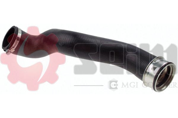 981069.JPG
