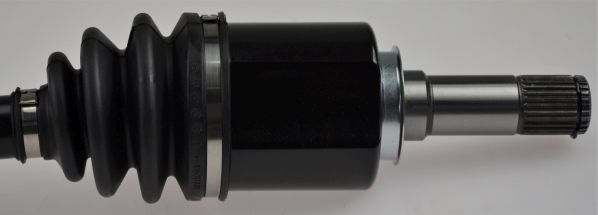 GKND12593C.JPG