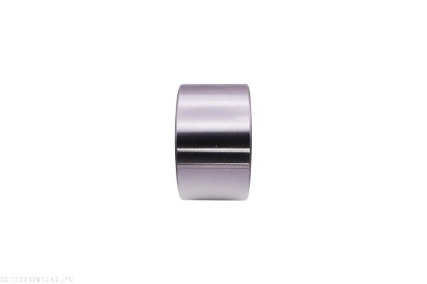 AUTOMEGA 110032810 Wheel Bearing