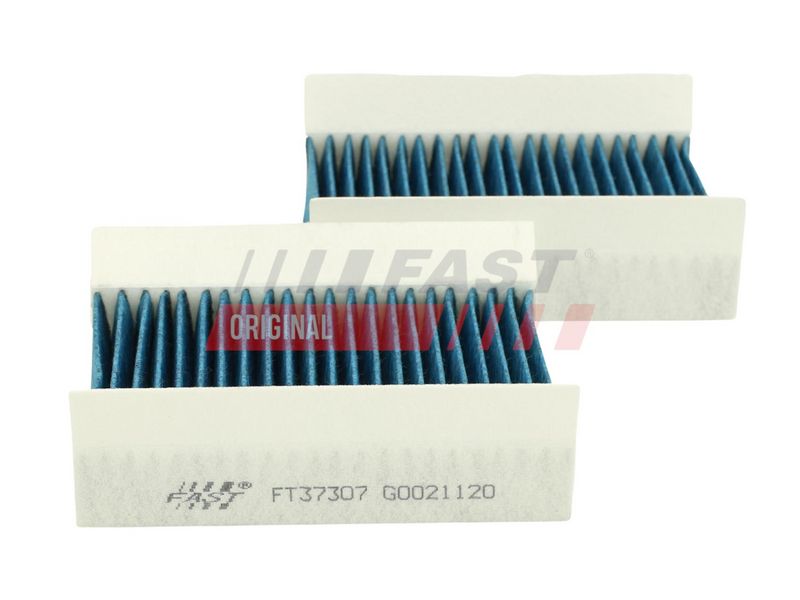 FAST FT37307PM Salono filtras