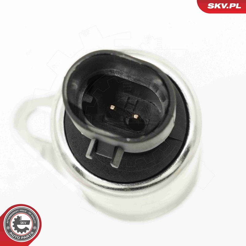 ESEN SKV 39SKV081 Control Valve, camshaft adjustment