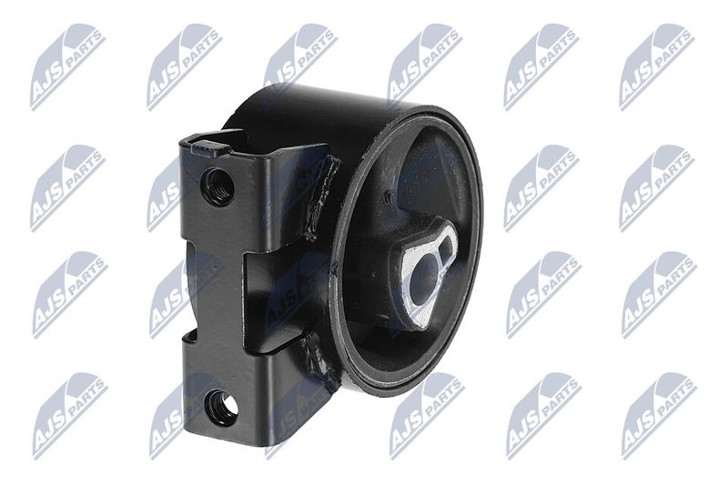 Paigutus, Mootor, NTY ZPS-CH-054