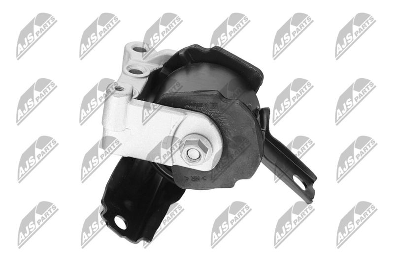 Paigutus, Mootor, NTY ZPS-CH-071