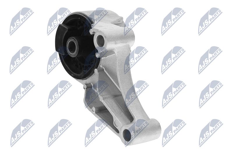 Paigutus, Mootor, NTY ZPS-PL-069