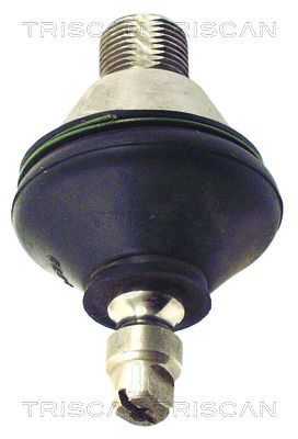 TRIS85002920.JPG