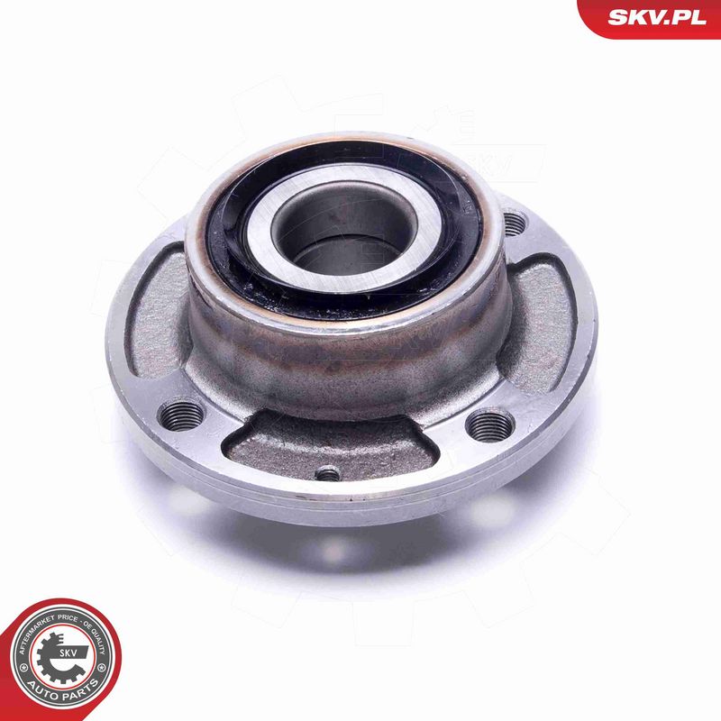 ESEN SKV 29SKV448 Wheel Bearing Kit