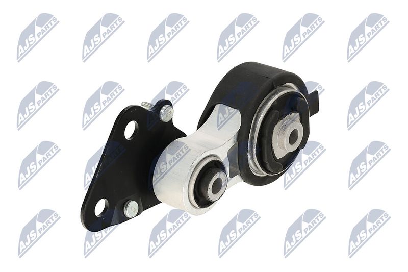 Paigutus, Mootor, NTY ZPS-CH-075