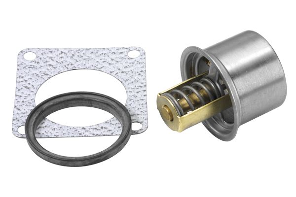BorgWarner (Wahler) 411045.82D Thermostat, coolant