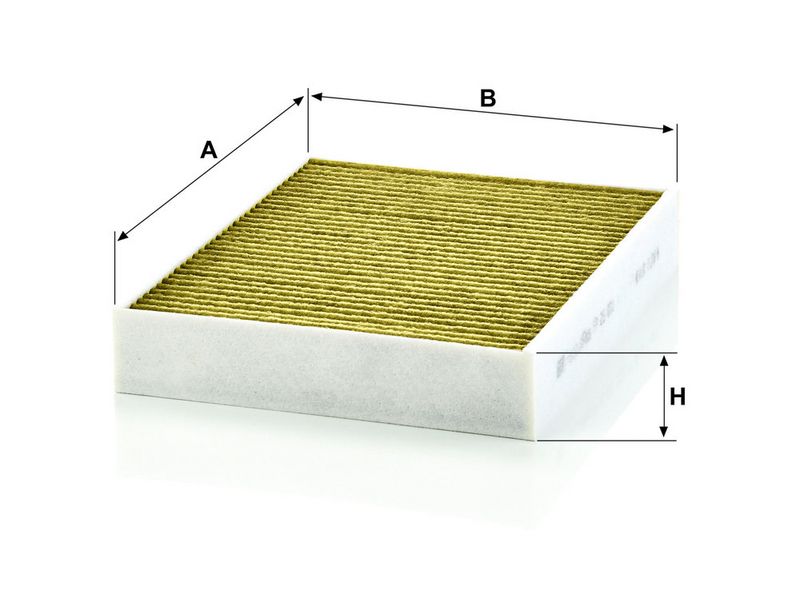 Filter, salongiõhk, MANN-FILTER FP 25 001