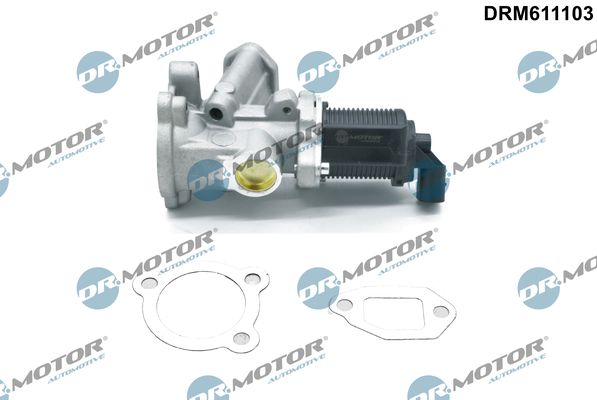 Dr.Motor Automotive AGR-szelep DRM611103