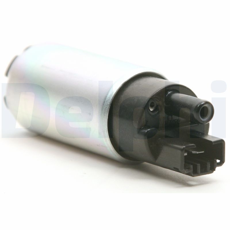 FE0407.JPG