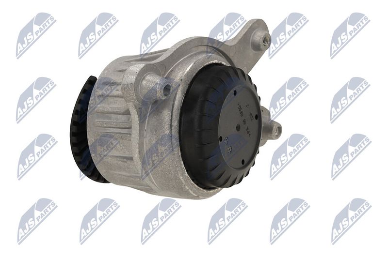 Paigutus, Mootor, NTY ZPS-ME-029