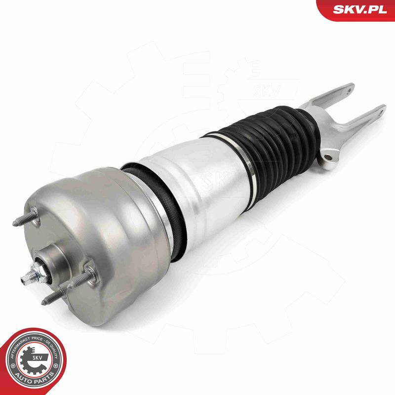 ESEN SKV 58SKV705 Air Suspension Strut