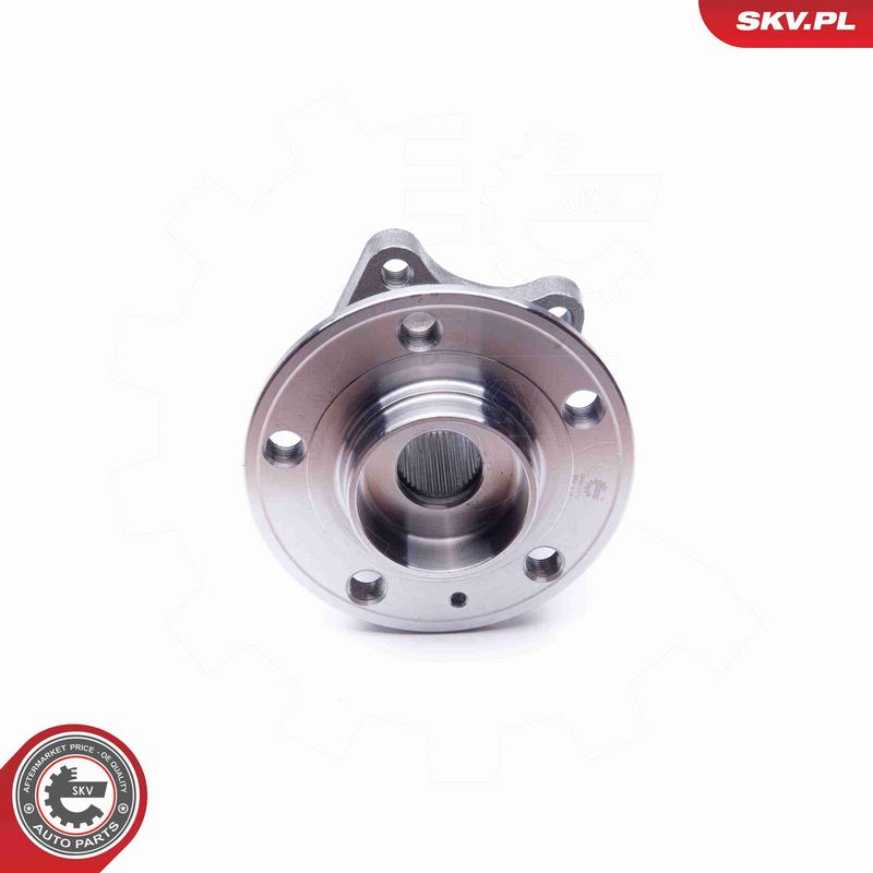 ESEN SKV 29SKV179 Wheel Bearing Kit