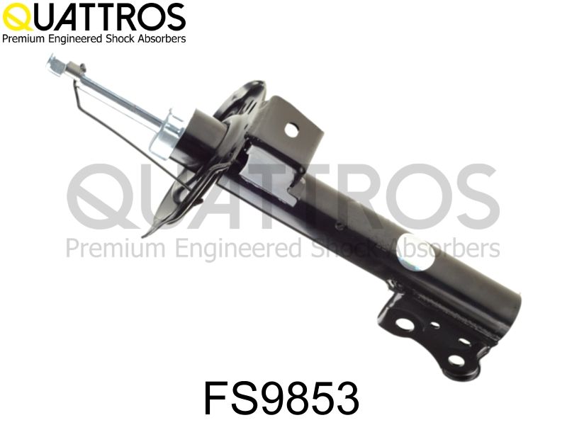 fs9853_1.JPG