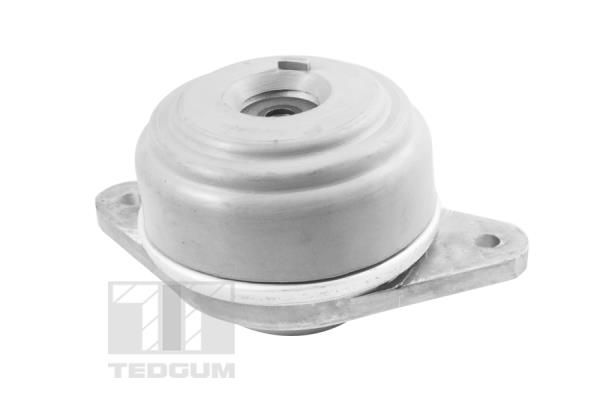 TED37501-B.JPG
