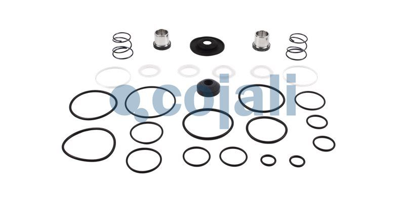 Set reparații, supapă de frână (frână de serviciu) COJALI 6012001