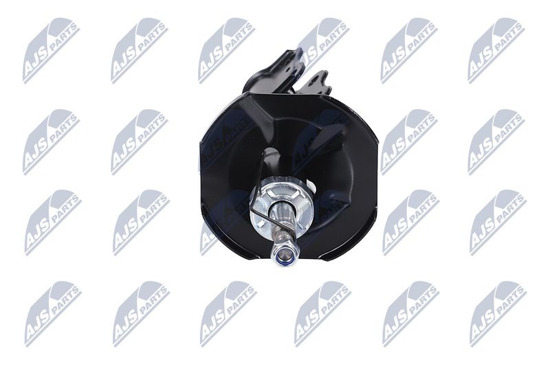Amort, NTY A-TY-096