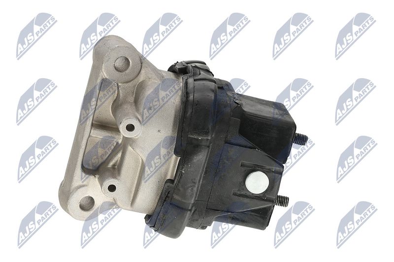 Paigutus, Mootor, NTY ZPS-CH-019