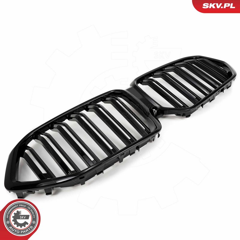 Radiaatorivõre, ESEN SKV 66SKV309