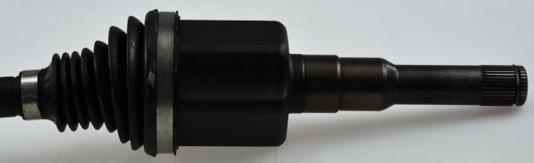 GKND12954C.JPG