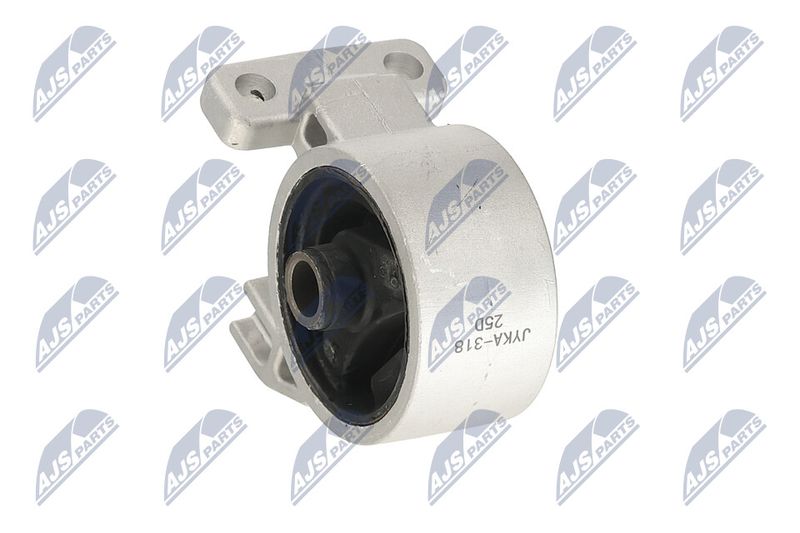 Paigutus, Mootor, NTY ZPS-KA-318