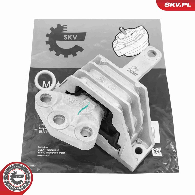 ESEN SKV 75SKV149 Variklio pagalvė