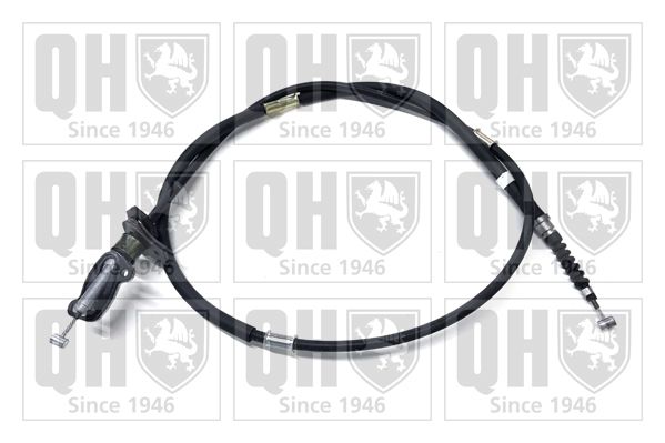 QH_BC2558.JPG