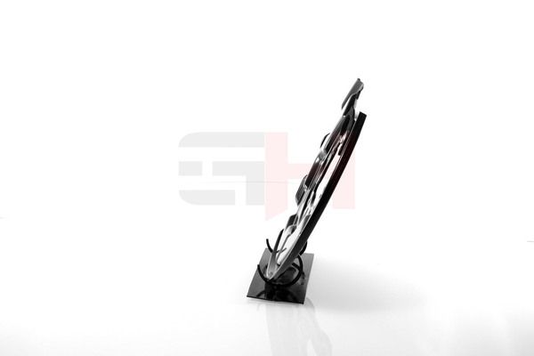GH GH-483354H Splash Guard, brake disc