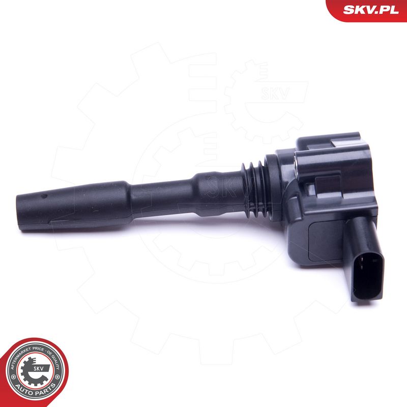 Süütepool, ESEN SKV 03SKV287