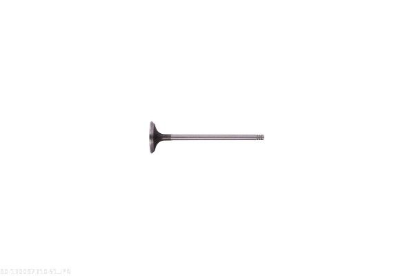 AUTOMEGA 130097310 Exhaust Valve