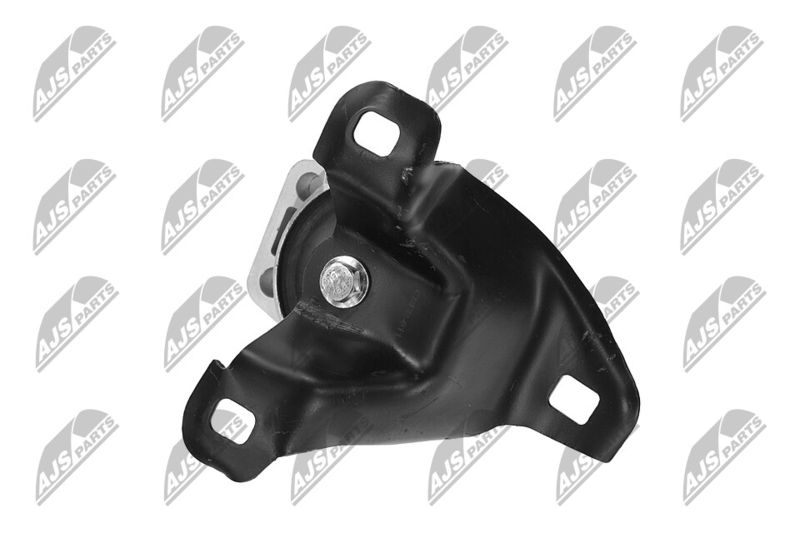 Paigutus, Mootor, NTY ZPS-FR-011