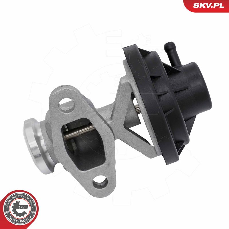 EGR-klapp, ESEN SKV 14SKV291